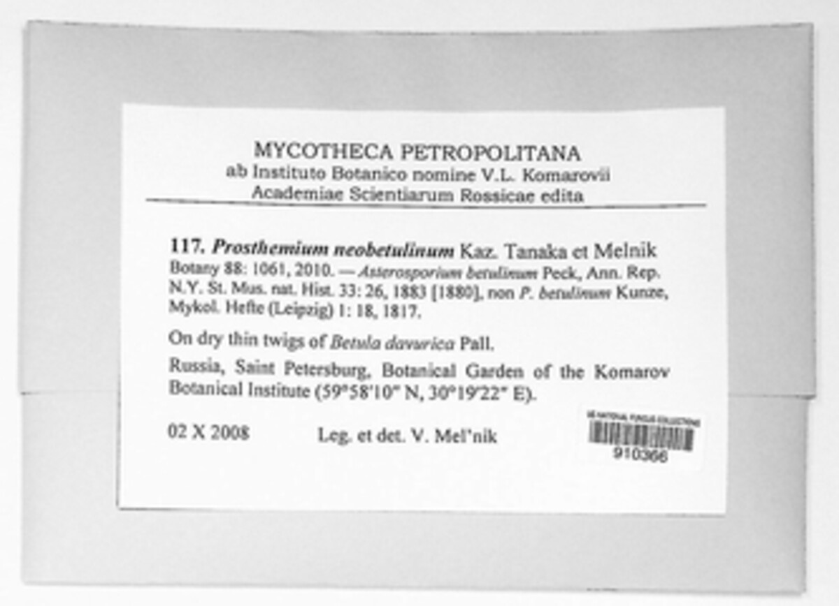 Prosthemium neobetulinum image